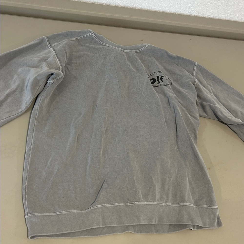 Comfort Colors Light Gray Sweatshirt